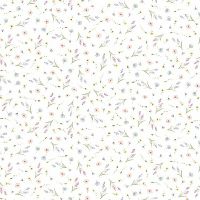 ttKIDZ-CD4905 MULTI